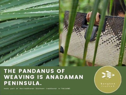 Toei Panan/Pandanus