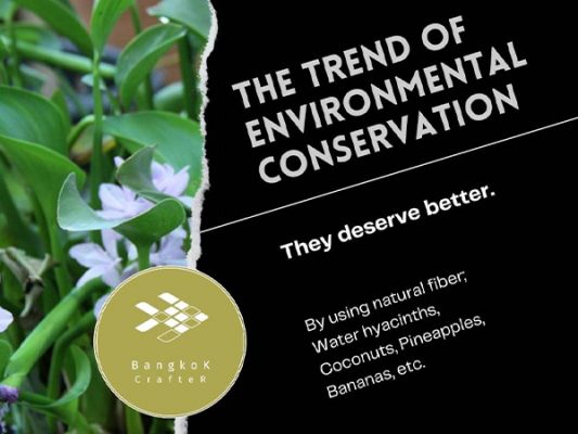 The Environmental Conservation Trends